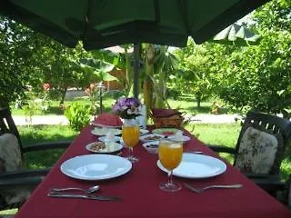 Almira 3* Çıralı