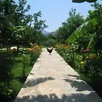 Almira 3* Çıralı
